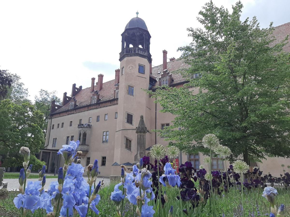 Fewo Rosenbluete Am Stadtpark Wittenberg Екстер'єр фото